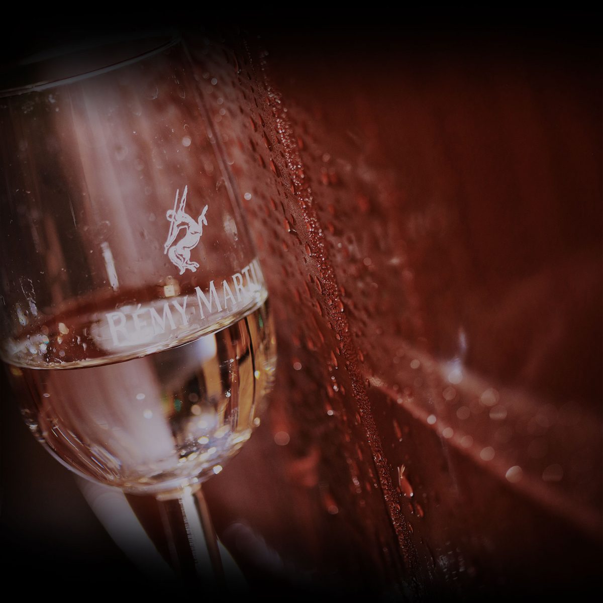 Rémy Martin VSOP - Cognac Fine Champagne - International