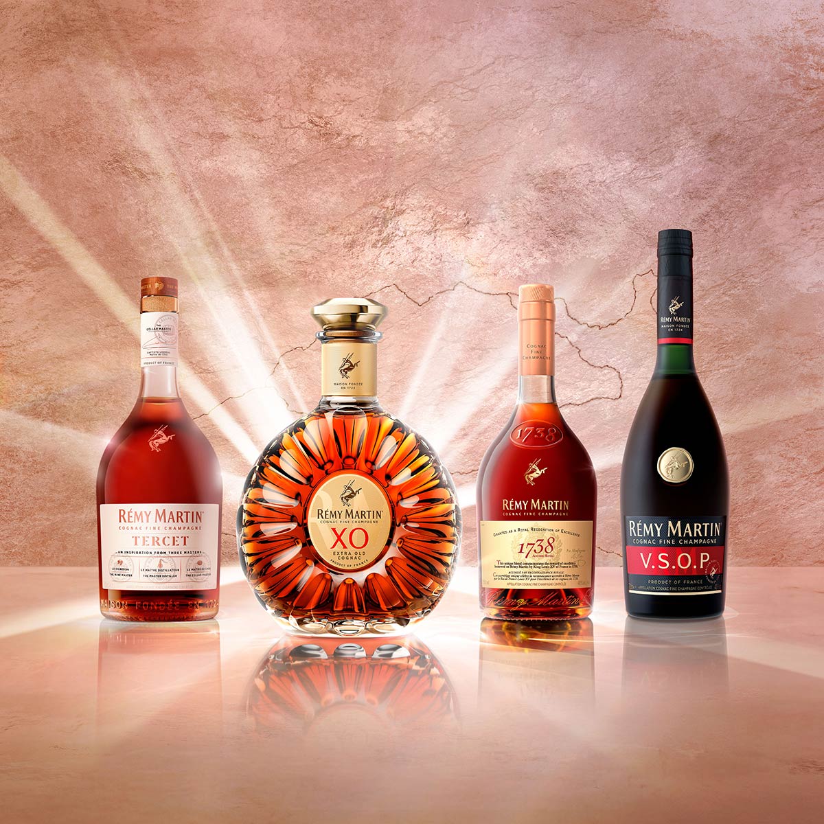 COGNAC RÉMY MARTIN - Offrez une bouteille de Cognac dans un