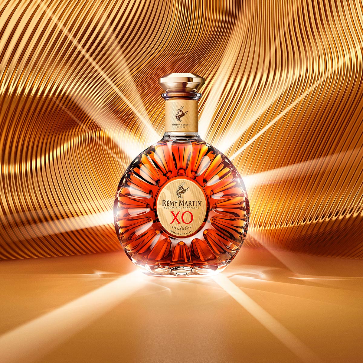 XO Cognac Rémy Martin: check price and buy online - UK