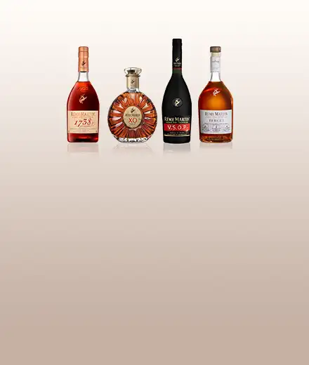 Four bottles of the Rémy Martin product range – 1738 Accord Royal, XO, VSOP and TERCET