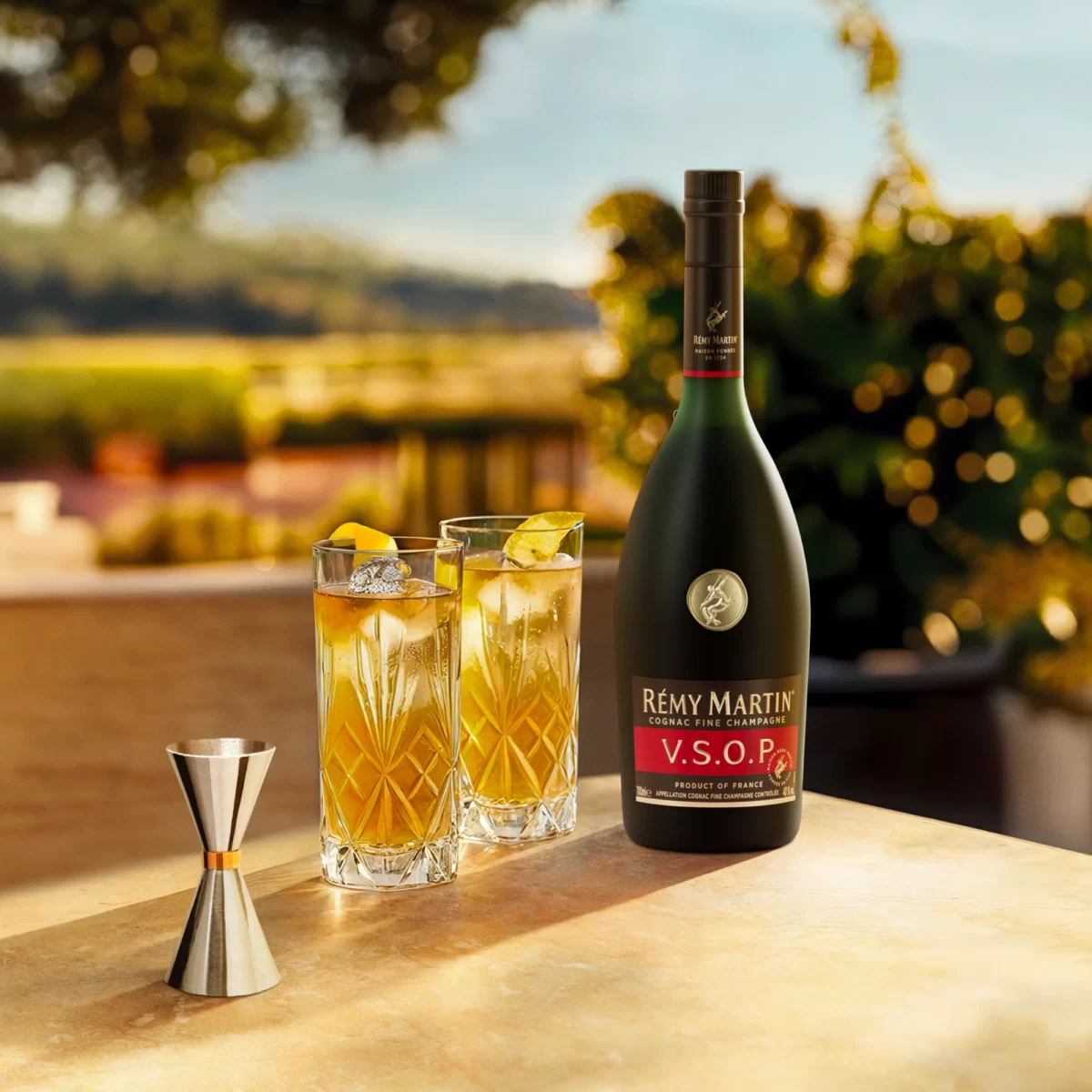 REMY MARTIN VSOP 2本セットc Rémy Martin - Rémy Martin VSOP Rémy Ginger Set - USA