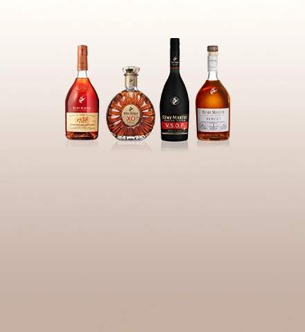 Rémy Martin Collection