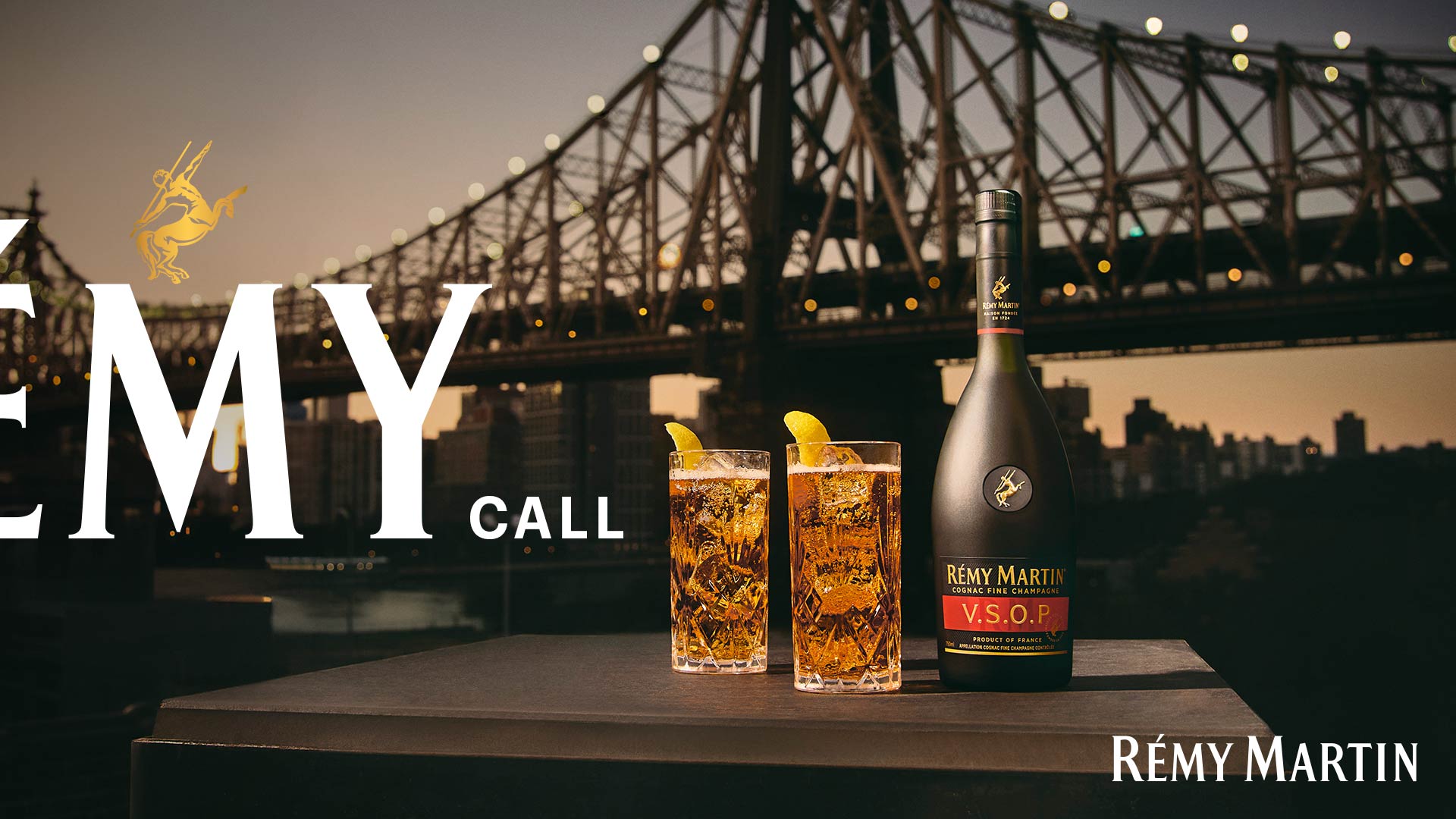 VSOP cognac Rémy Martin: check price and buy online - USA