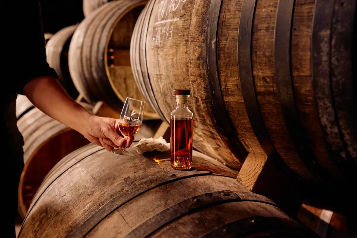 Rémy Martin - XO Cognacs - USA