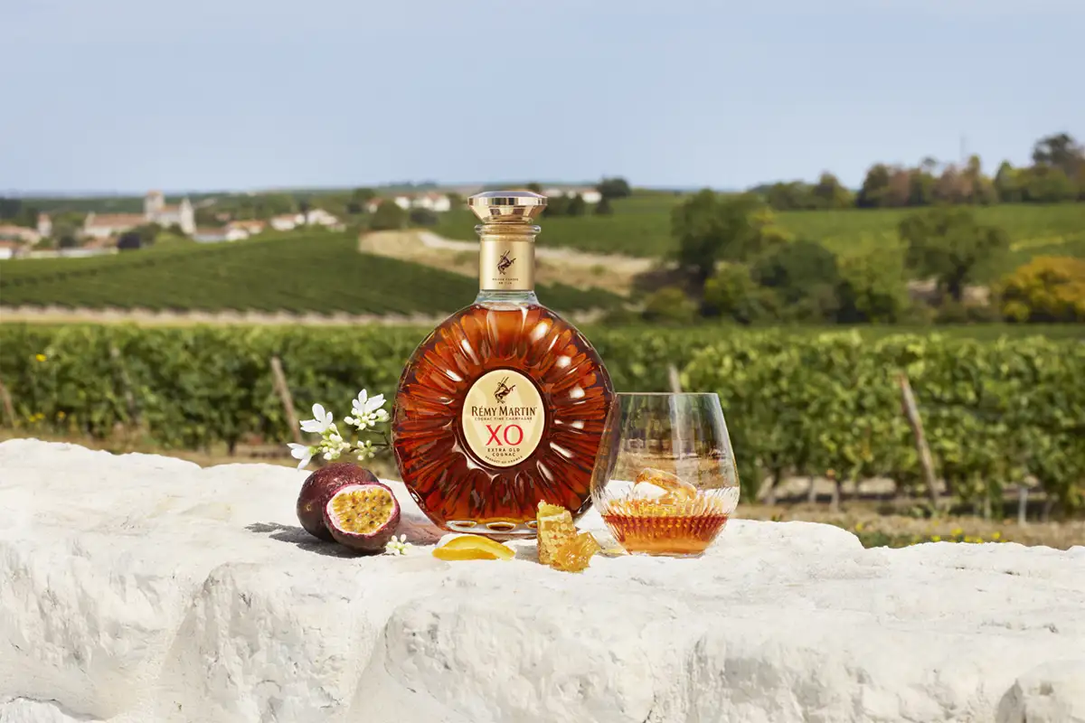 Rémy Martin XO エクストラオールドコニャック Remy Martin Xo Cognac | ReserveBar