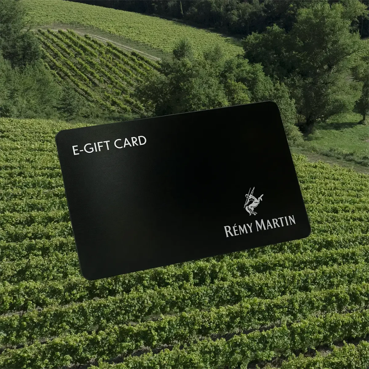 未開栓美品【Rémy Martin】コニャック ギフトボックス証明書付き750 Cognac Gift Set - XO & VSOP Collection - Rémy Martin