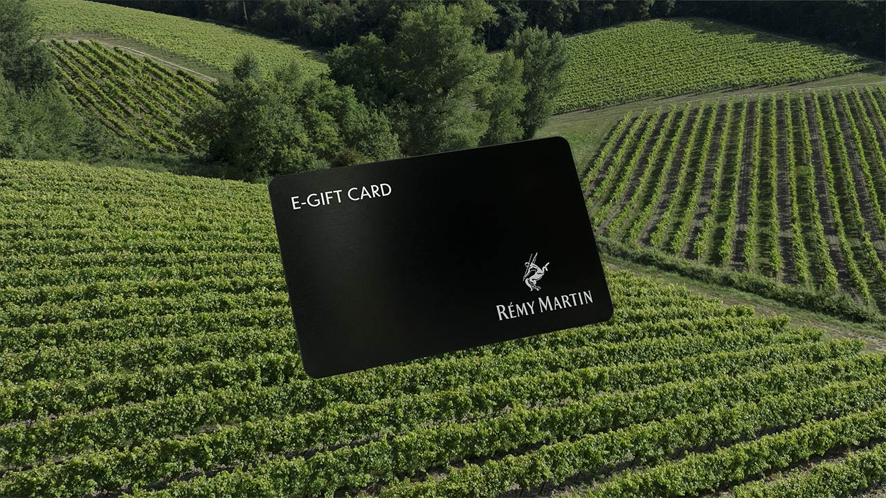 Rémy Martin e-gift card - Cognac Fine Champagne - USA