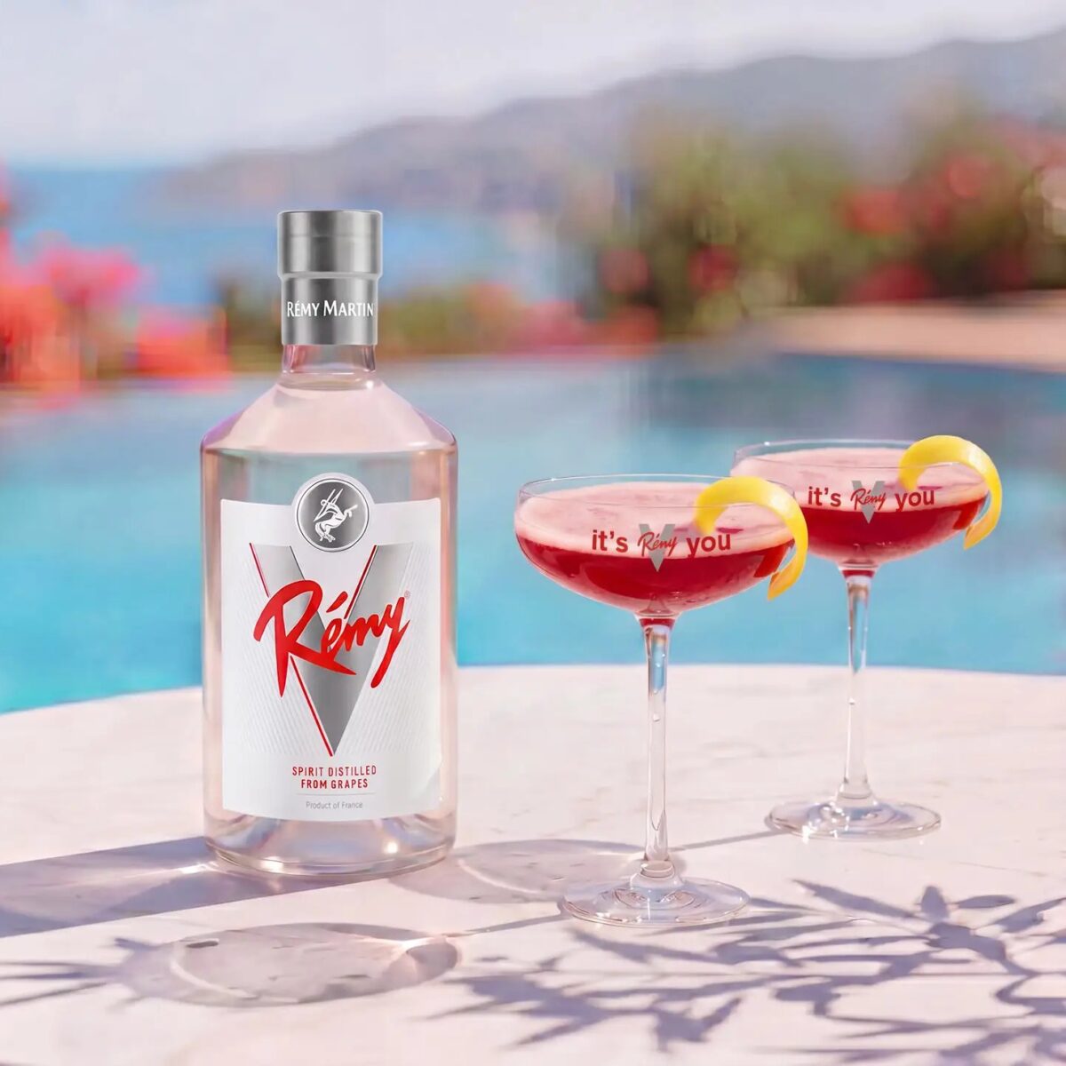 Rémy Martin - Rémy V Drop Set