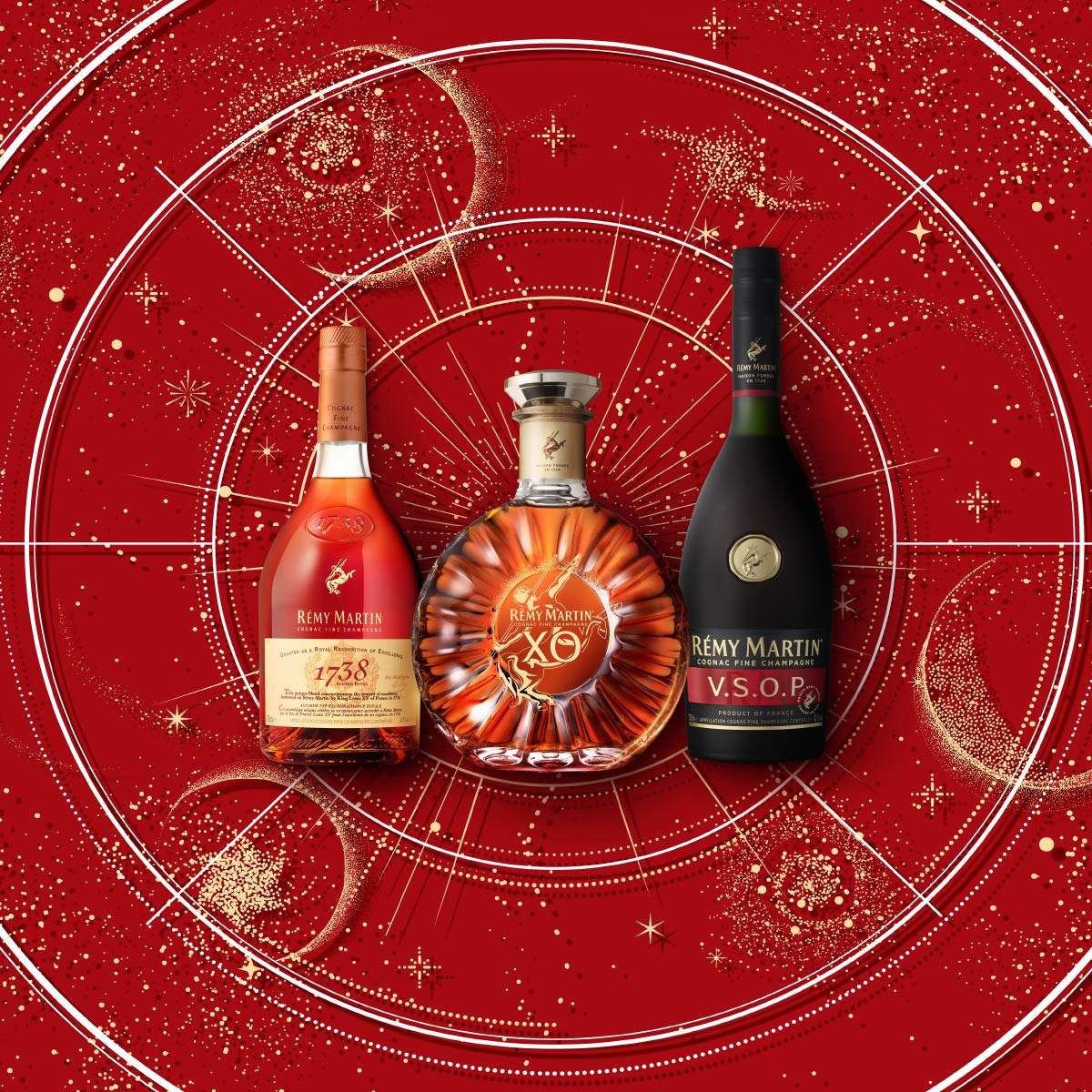 REMY MARTIN CLUB de SPECIAL 2本セット 早い者勝ち！REMY MARTIN XO Special 700ml 【公式通販】