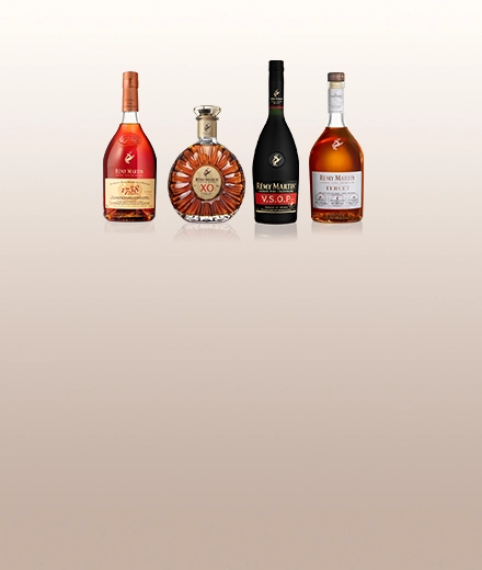 Rémy Martin Collection